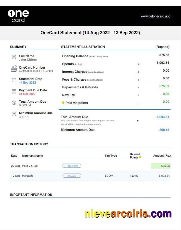 USA 1One Card statement Word and PDF w